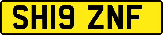 SH19ZNF