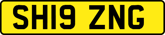 SH19ZNG
