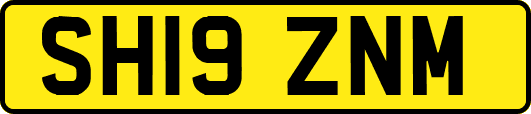 SH19ZNM