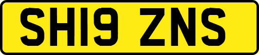 SH19ZNS