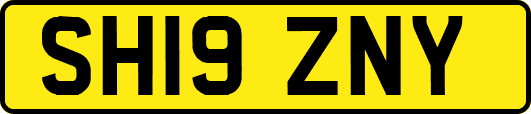 SH19ZNY