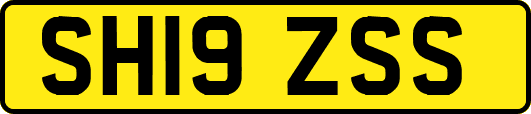 SH19ZSS