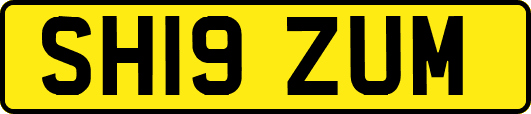 SH19ZUM