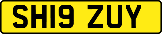 SH19ZUY