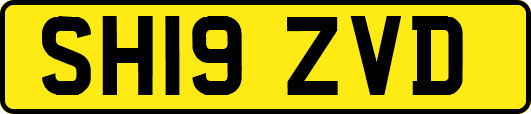 SH19ZVD