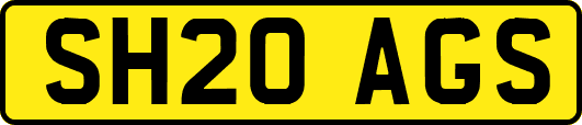 SH20AGS