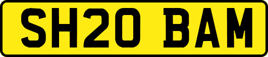 SH20BAM