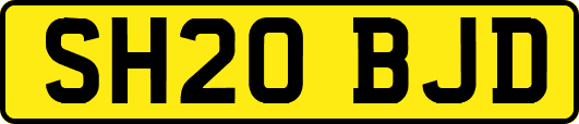 SH20BJD