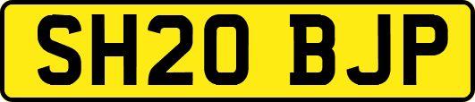 SH20BJP