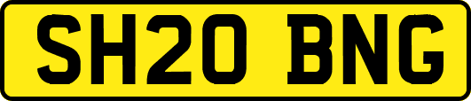 SH20BNG