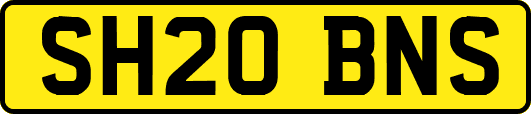 SH20BNS