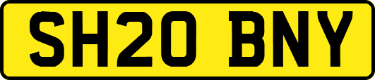 SH20BNY