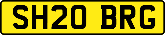 SH20BRG
