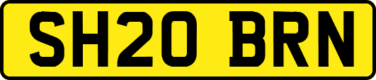 SH20BRN