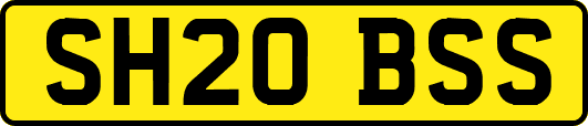 SH20BSS