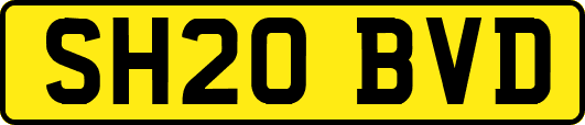 SH20BVD