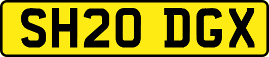 SH20DGX