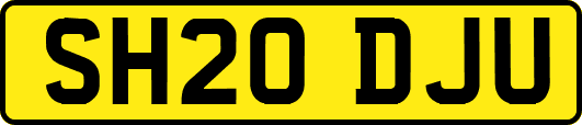 SH20DJU