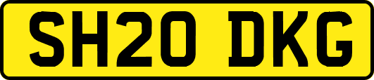 SH20DKG
