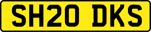 SH20DKS