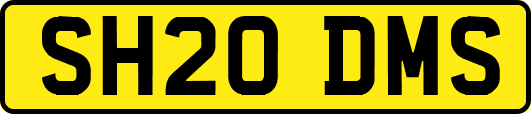 SH20DMS