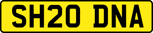 SH20DNA