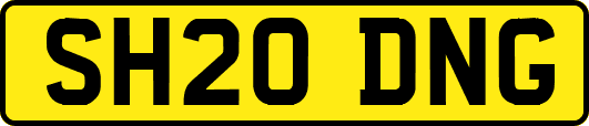 SH20DNG