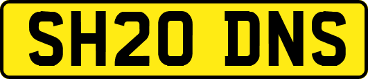 SH20DNS