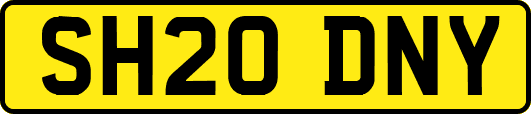 SH20DNY
