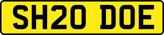 SH20DOE