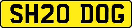 SH20DOG