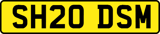 SH20DSM