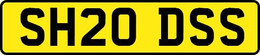 SH20DSS