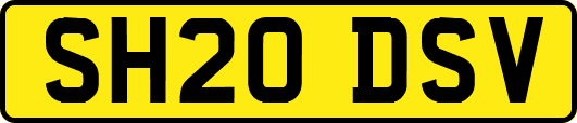 SH20DSV