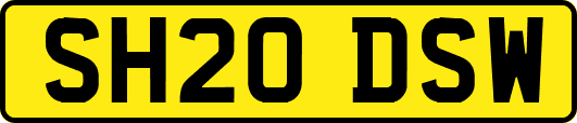 SH20DSW