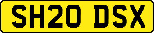 SH20DSX