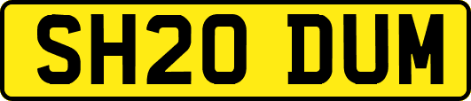 SH20DUM