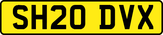 SH20DVX