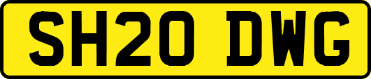 SH20DWG