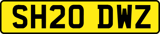 SH20DWZ