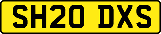 SH20DXS
