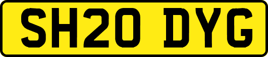 SH20DYG