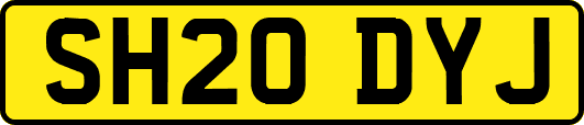 SH20DYJ