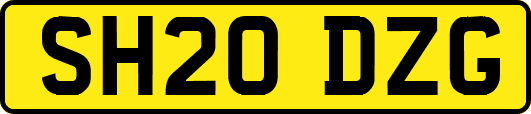 SH20DZG