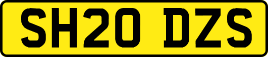SH20DZS