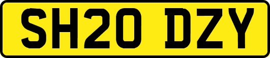 SH20DZY
