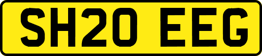 SH20EEG