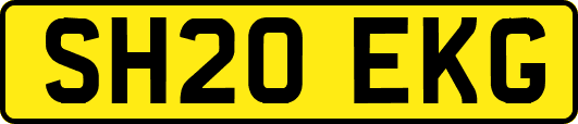 SH20EKG