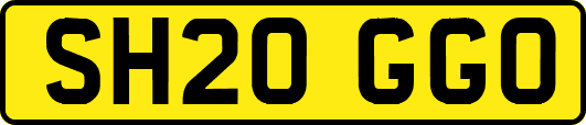 SH20GGO