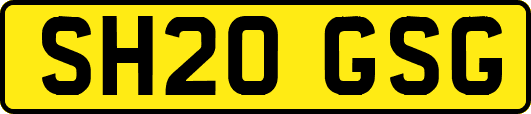 SH20GSG